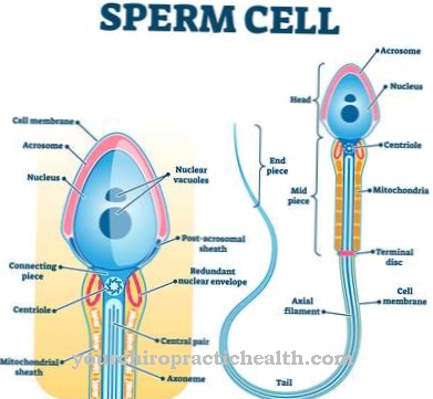 Allergia allo sperma