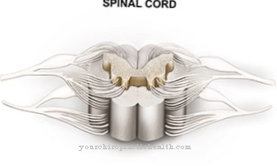 Spinal muskelatrofi