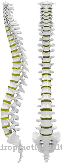 Spondylarthritis