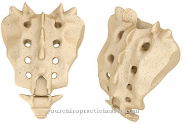 Coccyx teratoma