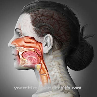 Tracheo-oesophageal fistula