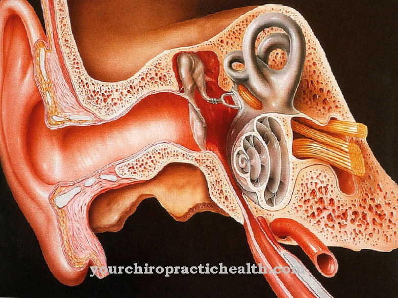 ท่อ catarrh