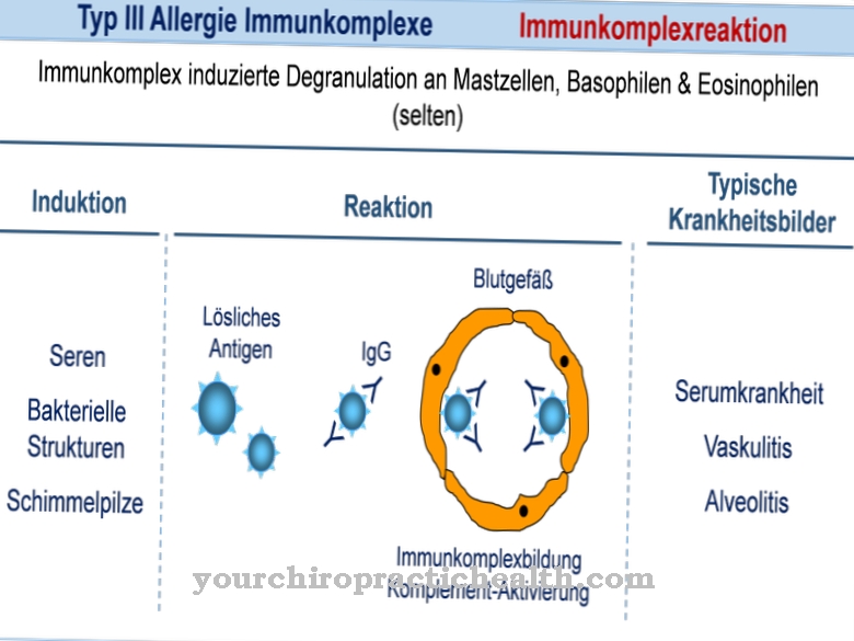 Type III allergy