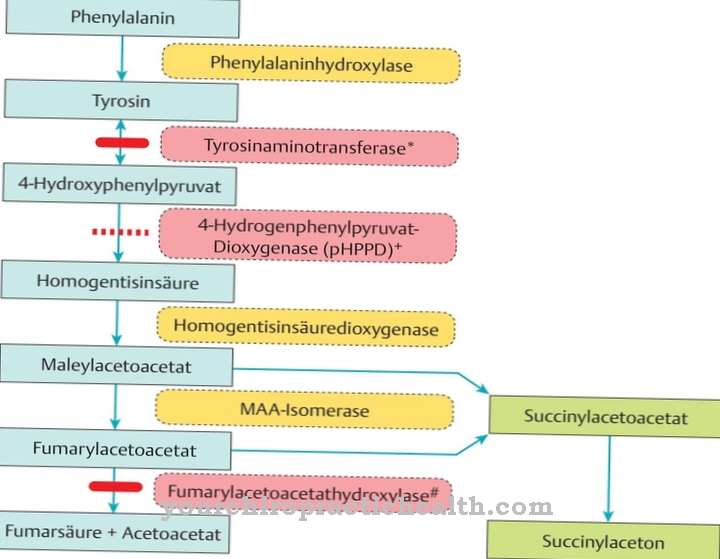 Tyrozinémia typu I