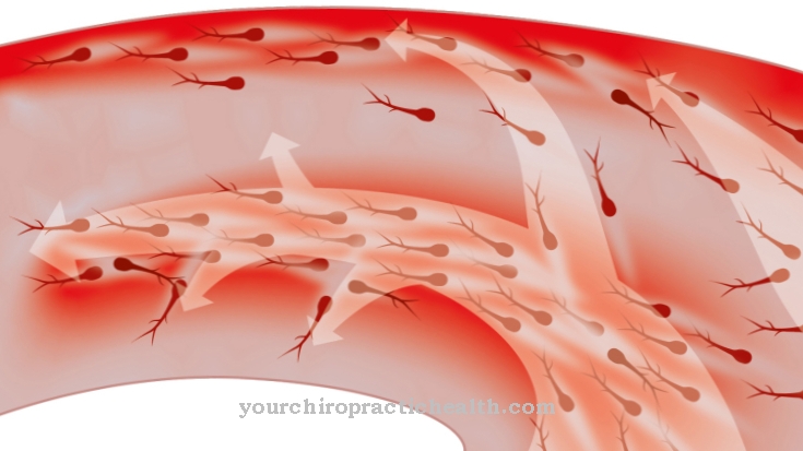 Cell migration