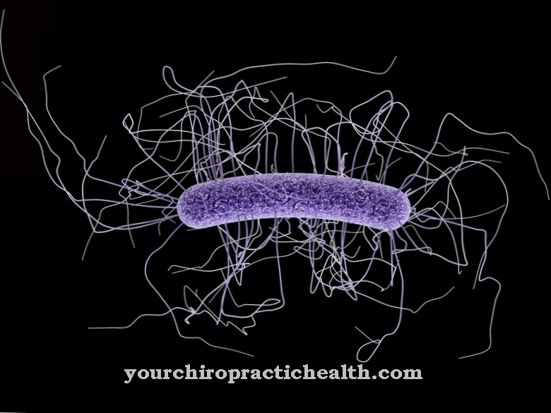 Clostridium difficile