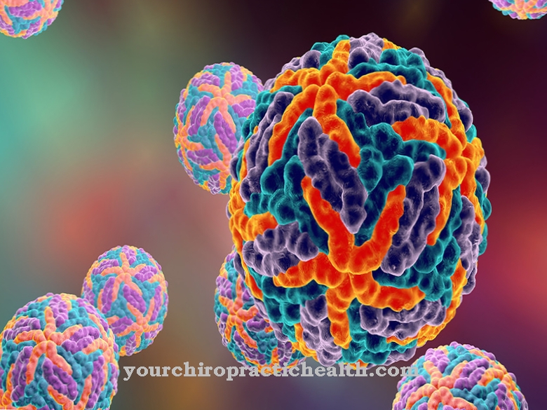 Dengue virus