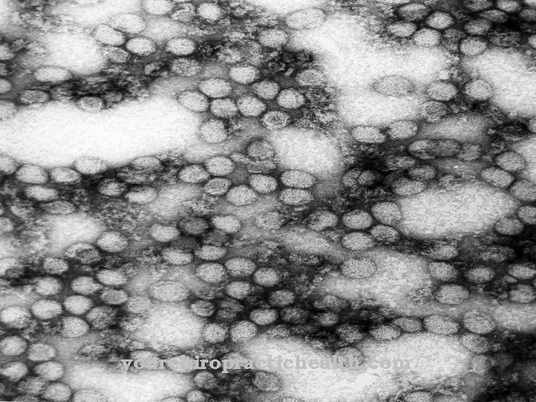 Flaviviruses