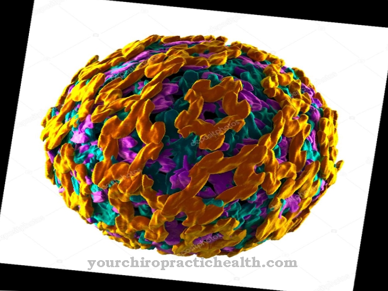 Yellow fever virus