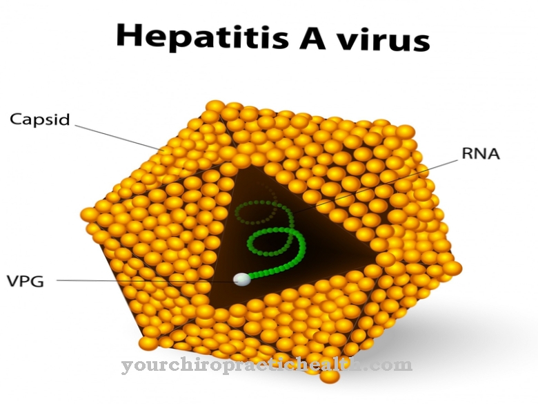 Hepatiitti A-virus