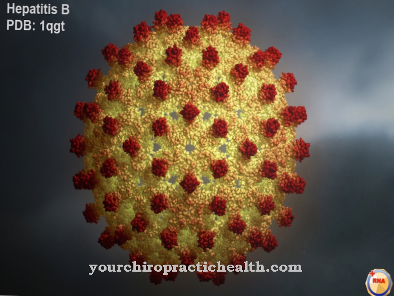 Hepatitis B virus