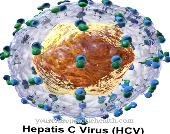 Virus hepatitidy C