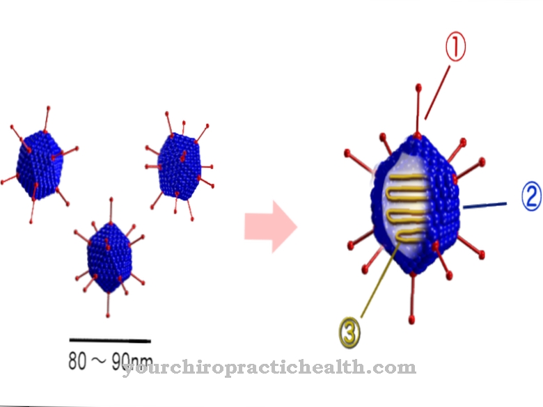 Human adenoviruses