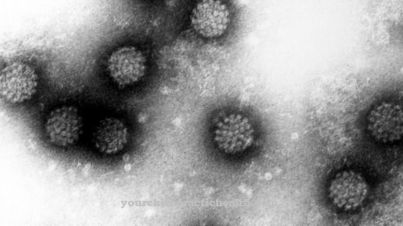 Virus papillomavirus ở người