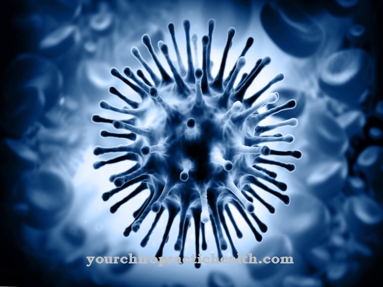 Influenza virus