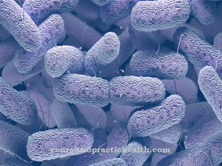 Klebsiella