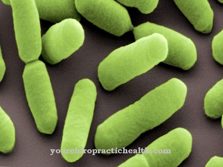 Listeria