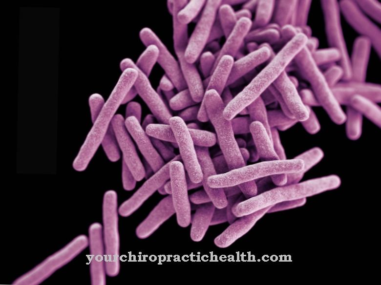 Mycobacterium tuberculosis