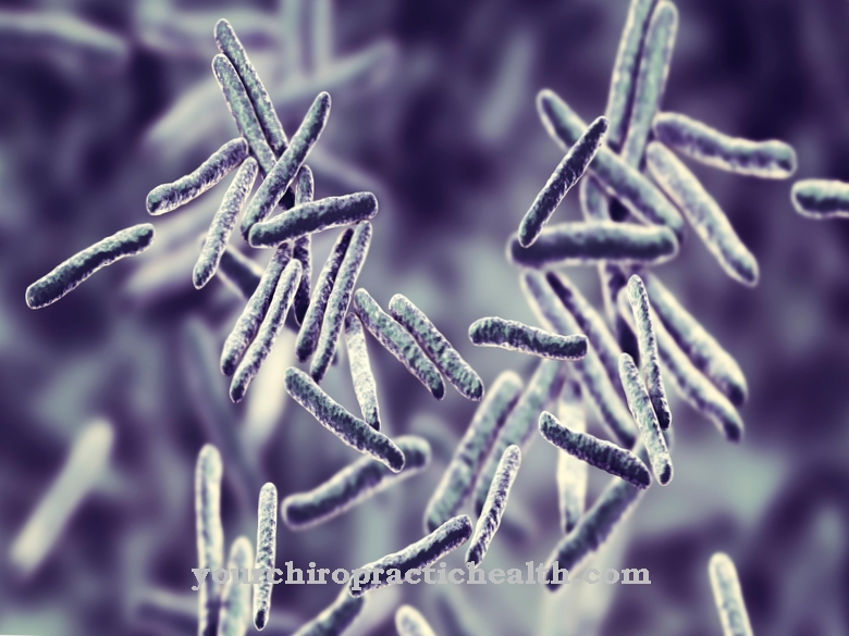 Mycobacteria