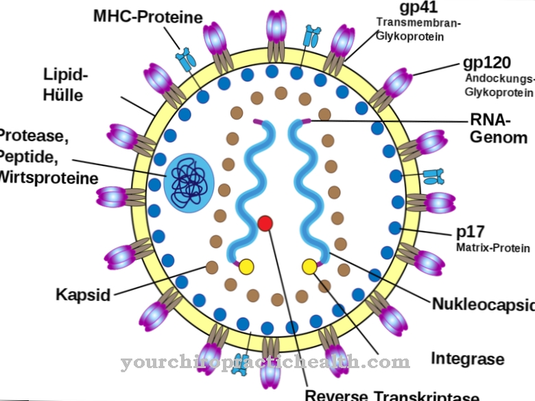 Retrovirus