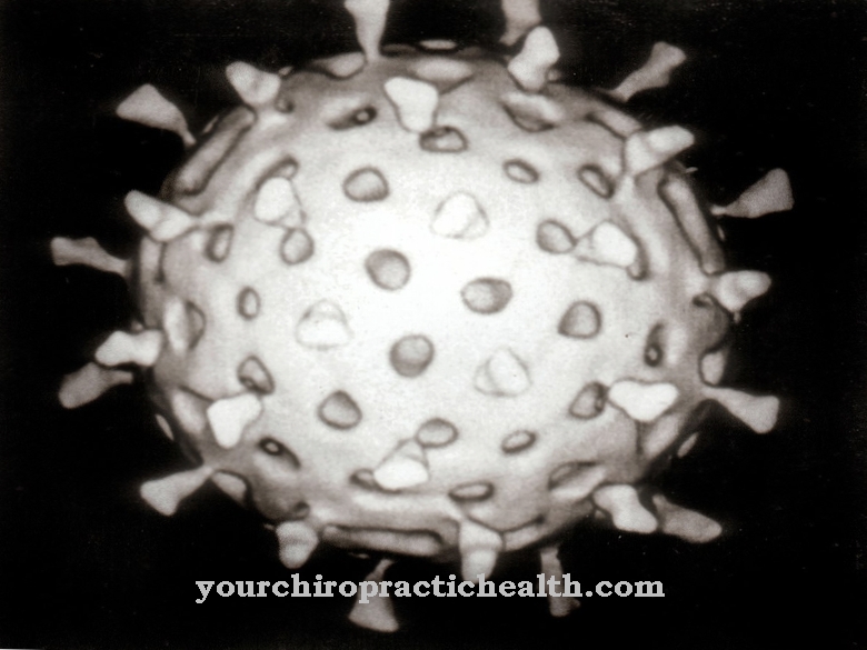 rotavirus