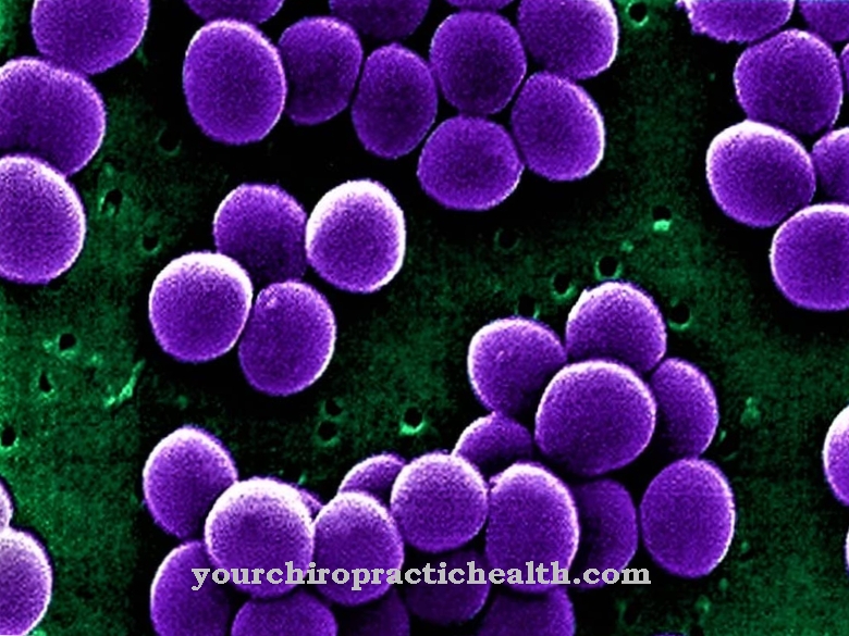 Staphylococci