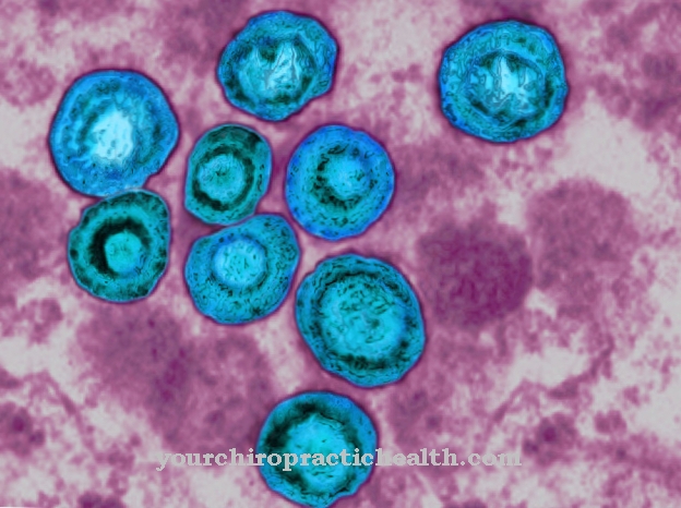 Cytomegalovirus