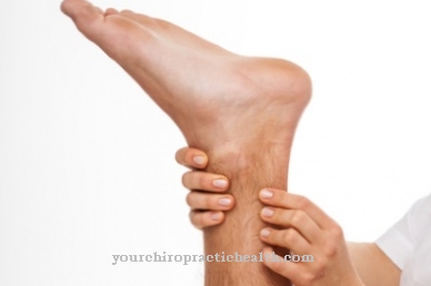 Achilles tendon reflex