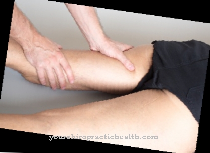 Adductor reflex