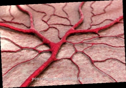 Angiogenesis