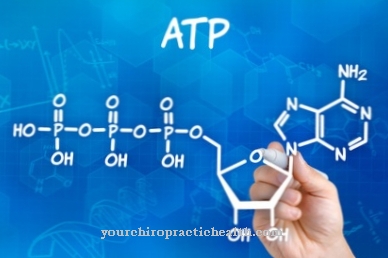 ATP synthase