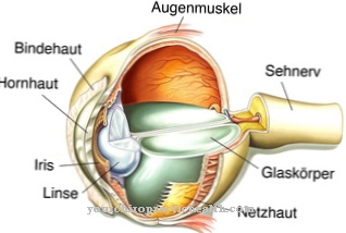 Eye movement