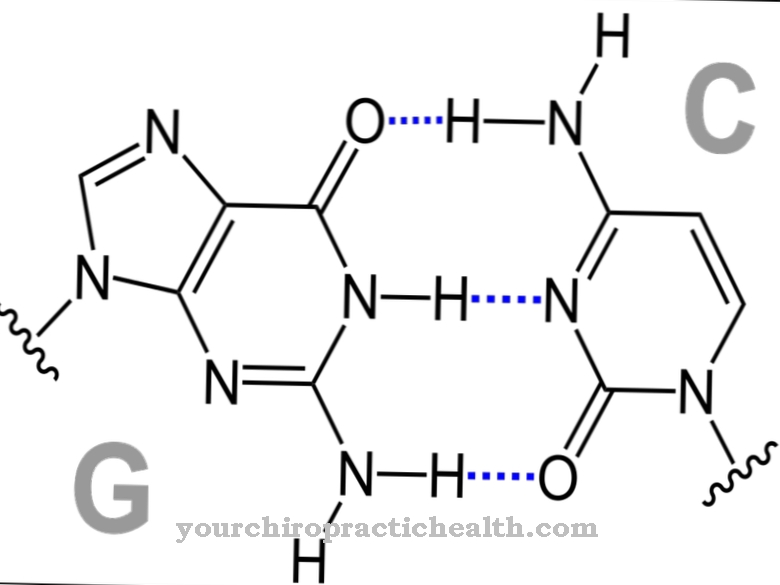 Base pairing