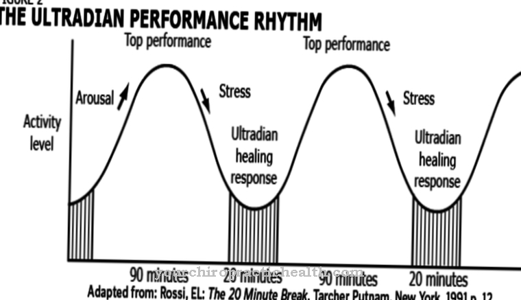 Basic rest activity cycle