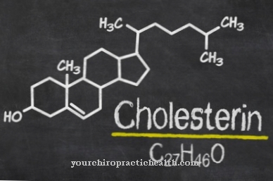 Cholesterol biosynthesis