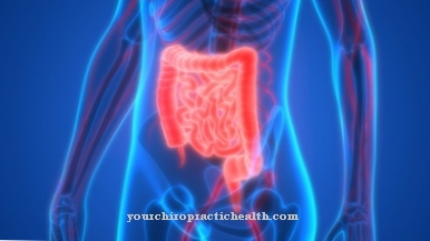 Intestinal peristalsis