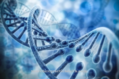 DNA methylation