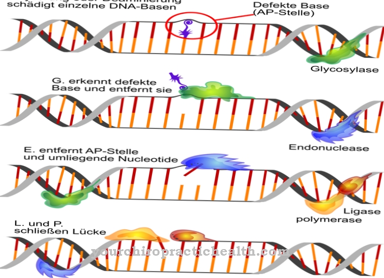 DNA-reparation