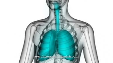 Expiratory plaušu tilpums