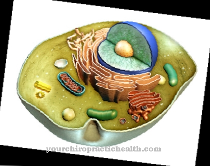 Endocytosis