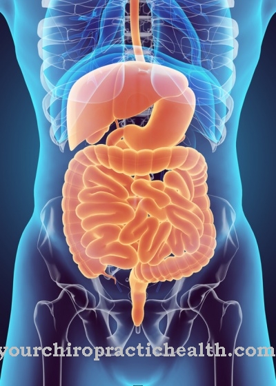 Enterohepatic cycle