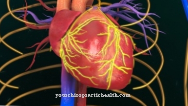 Conduction system of the heart