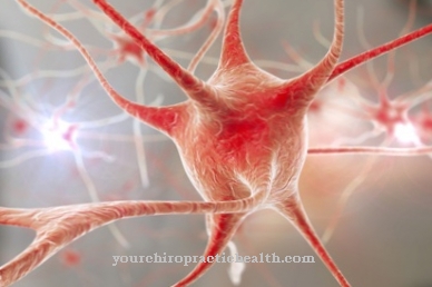 Excitatory postsynaptic potential