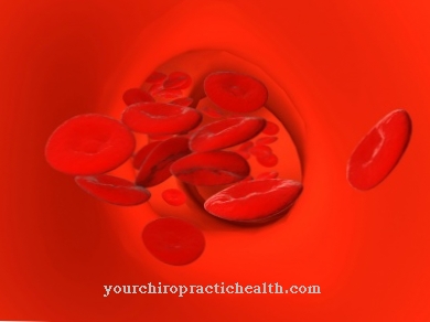 Hemopoiesis (היווצרות דם)