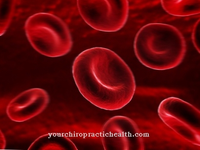 Hemoglobin synthesis