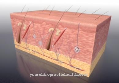 Holocrine secretion