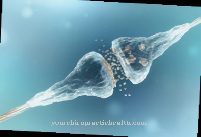 Inhibitory postsynaptic potential