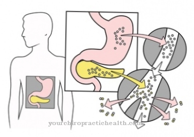 Insulin release