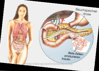 Insulin production