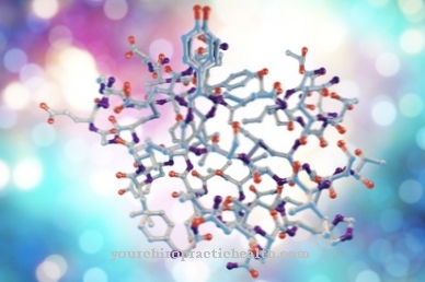 Insulin Synthesis